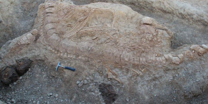 OTD in 2017: Scientists in India discovered a 152-million-year-old fossil of an extinct marine reptile called the ichthyosaur.