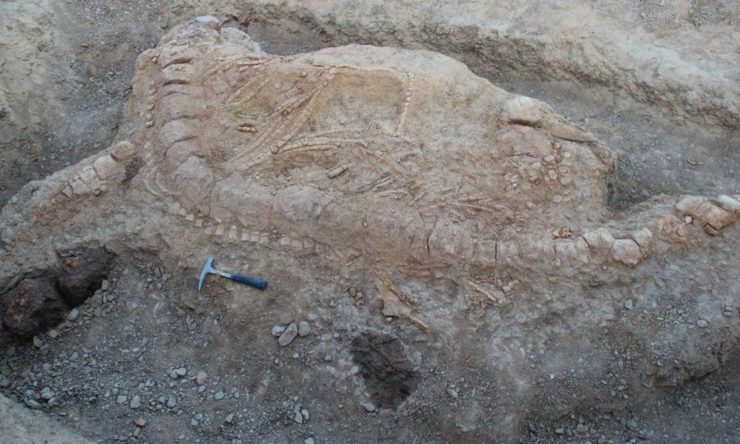 OTD in 2017: Scientists in India discovered a 152-million-year-old fossil of an extinct marine reptile called the ichthyosaur.