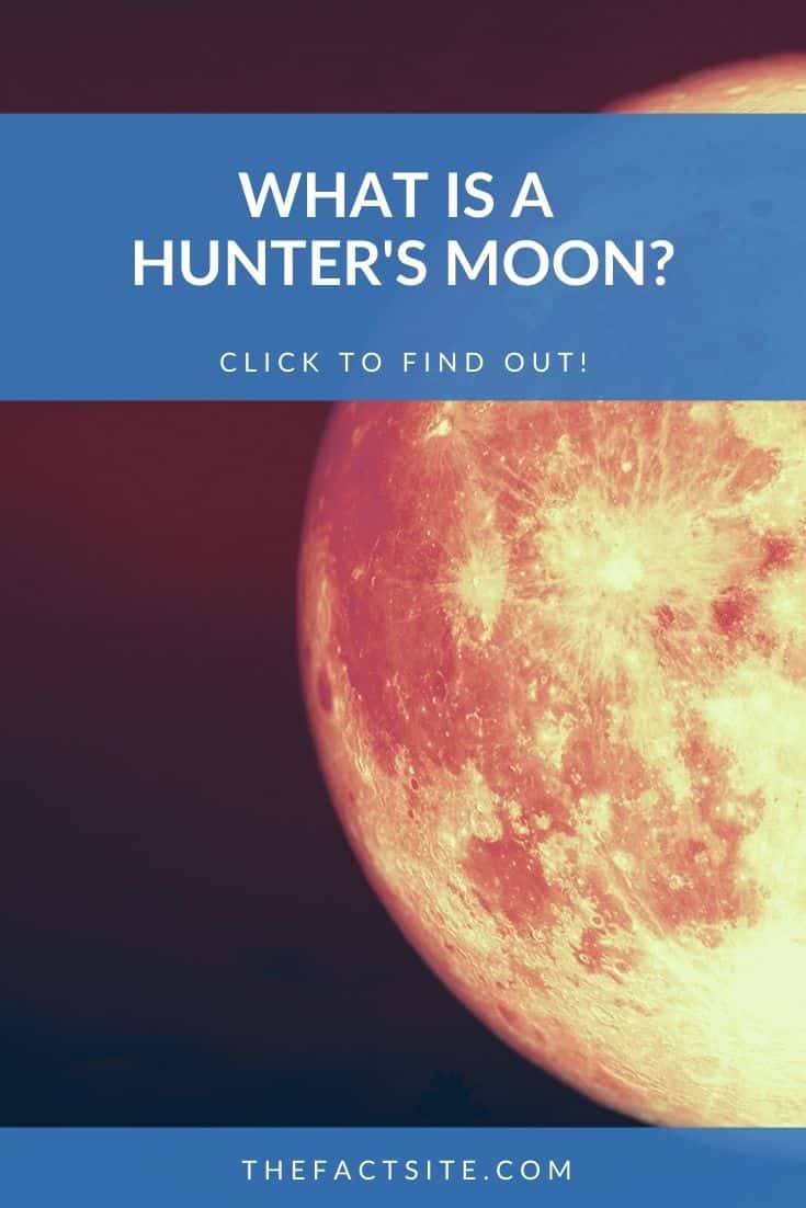 What Is A Hunter's Moon? The Fact Site