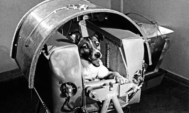 OTD in 1957: The Soviet Union sent a dog into space aboard the spacecraft Sputnik II.