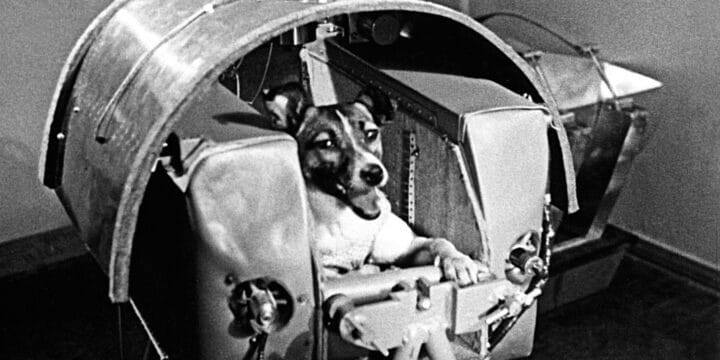OTD in 1957: The Soviet Union sent a dog into space aboard the spacecraft Sputnik II.