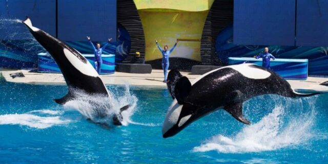 OTD in 2015: In San Diego