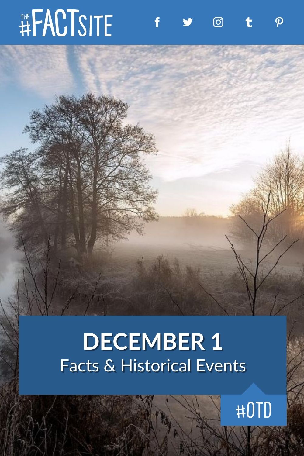 Facts & Historic Events That Happened on December 1