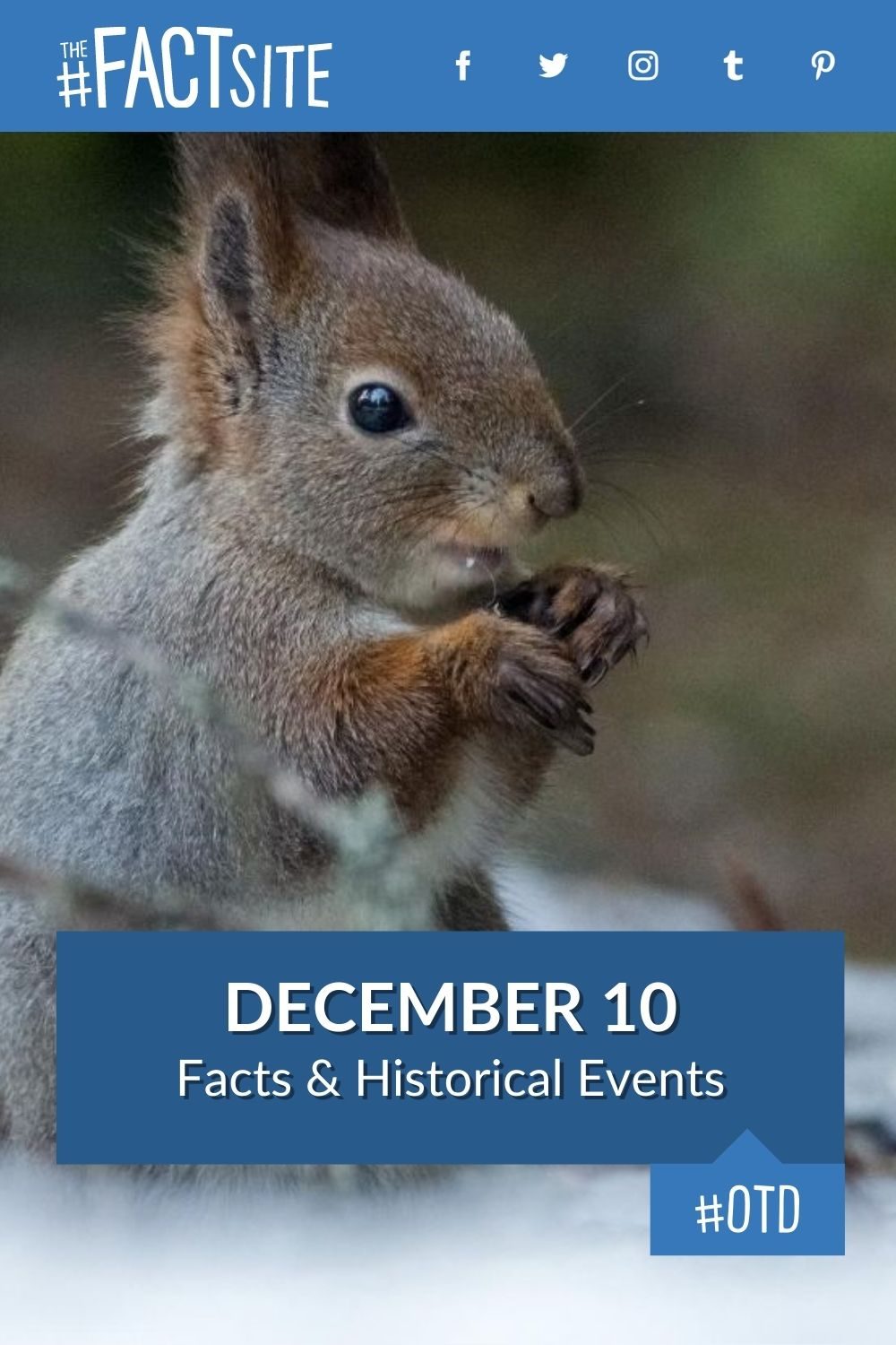 Facts & Historic Events That Happened on December 10