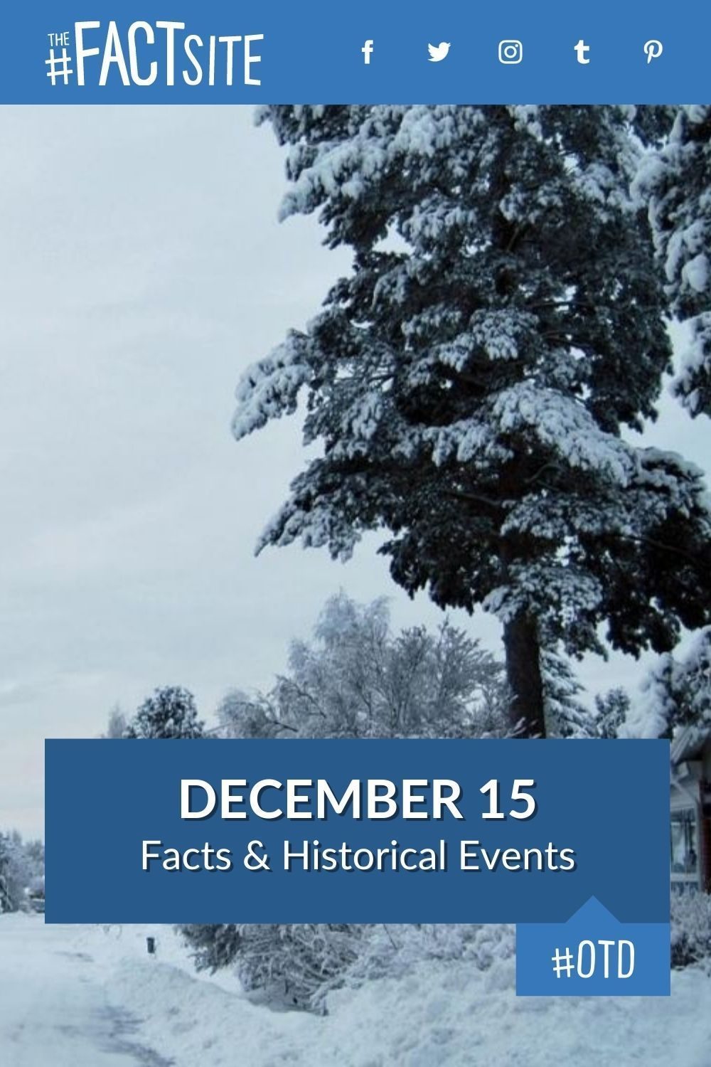 December 15: Facts & Historical Events On This Day