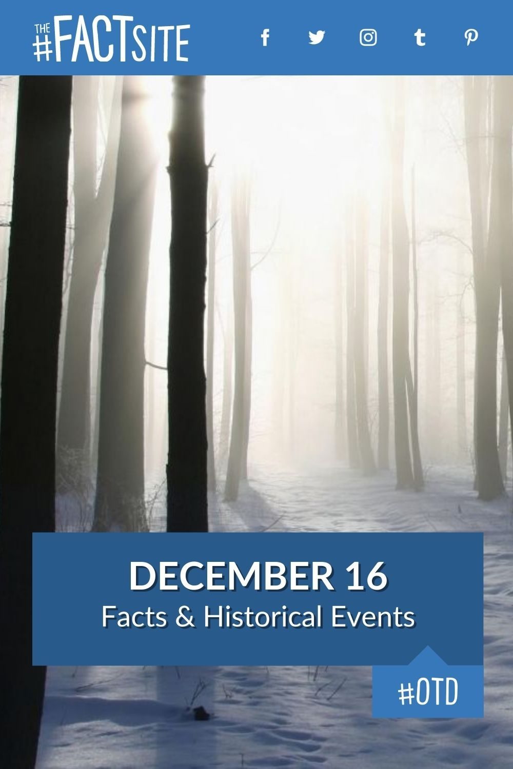 December 16: Facts & Historical Events On This Day