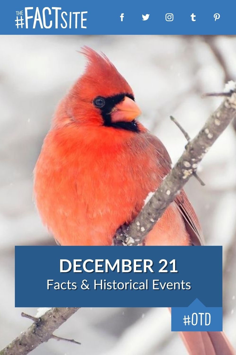 Facts & Historic Events That Happened on December 21