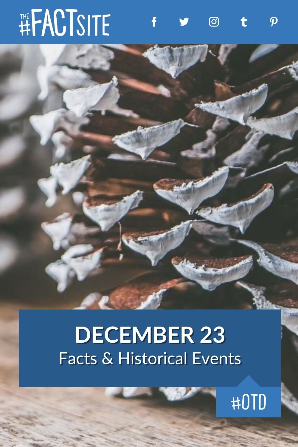 December 23: Facts & Historical Events On This Day