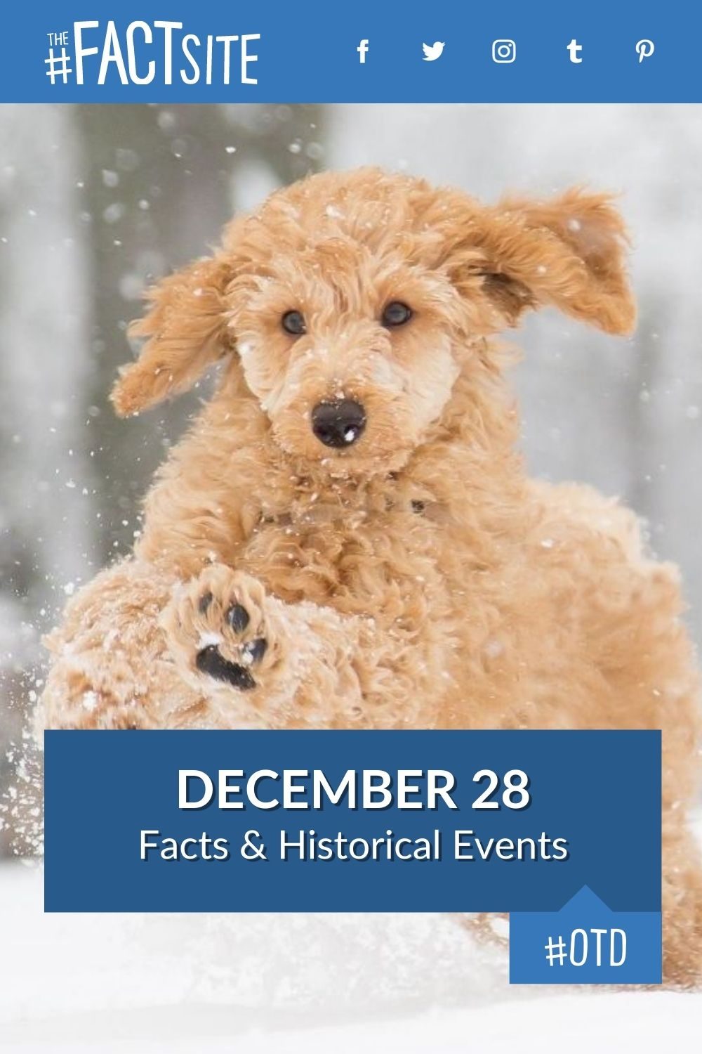 Facts & Historic Events That Happened on December 28