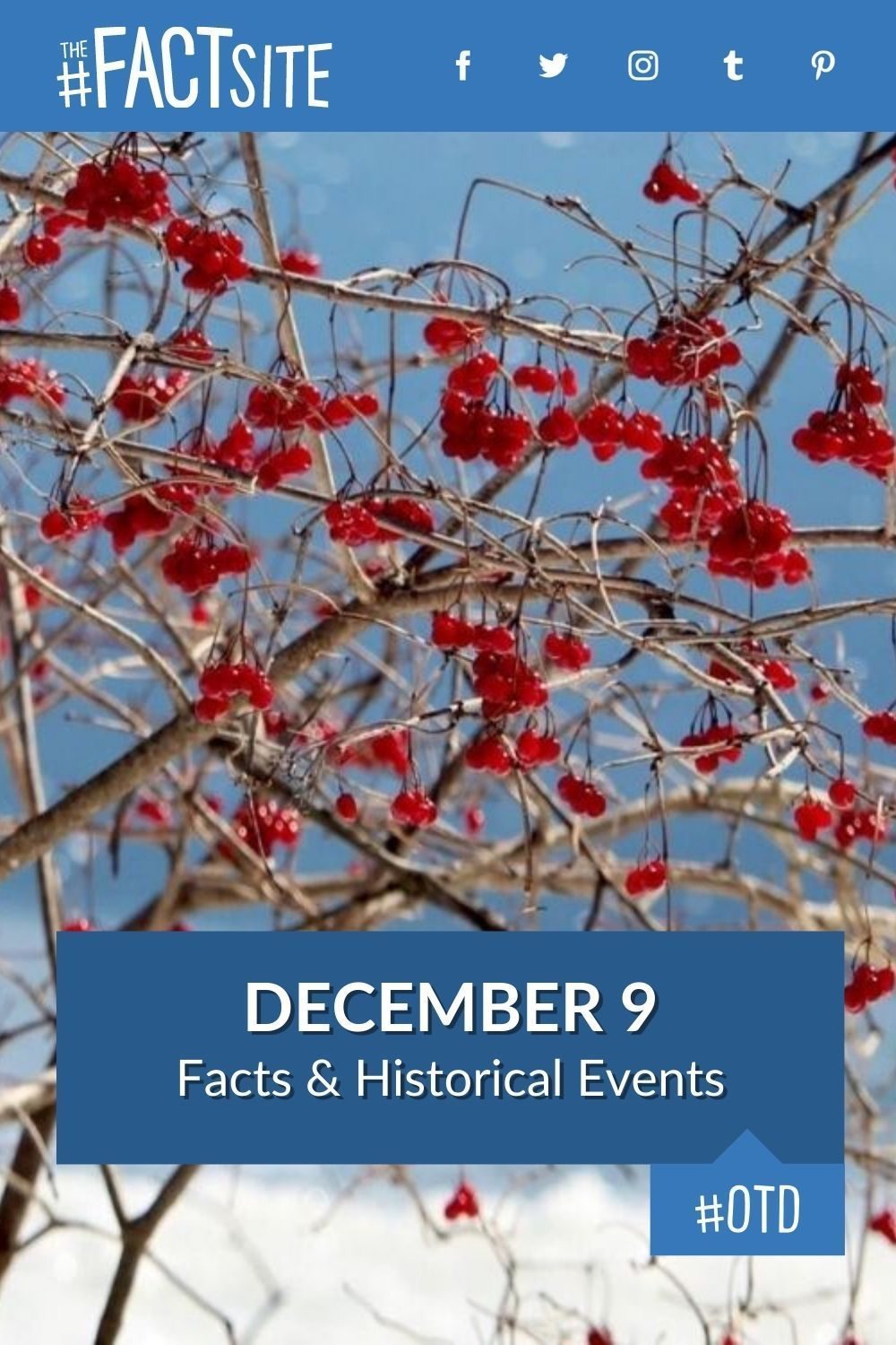 December 9: Facts & Historical Events On This Day