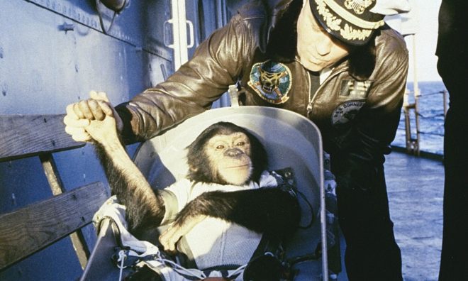 OTD in 1961: A chimpanzee named Ham became the first primate to go to space aboard the US MR-2 spacecraft.
