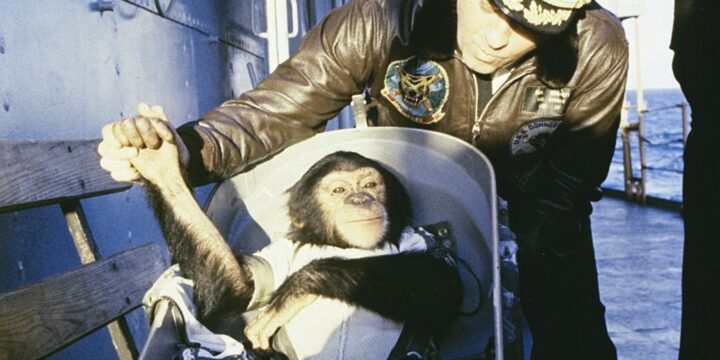 OTD in 1961: A chimpanzee named Ham became the first primate to go to space aboard the US MR-2 spacecraft.
