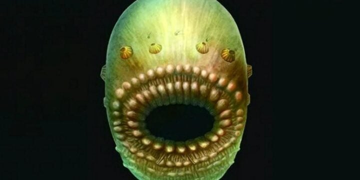 OTD in 2017: Researchers identified the earliest known prehistoric ancestor of humans.