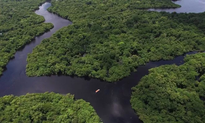 OTD in 2019: The Brazilian Space Agency announced that the country's Amazon rainforest had suffered its biggest spike in deforestation in over a decade.