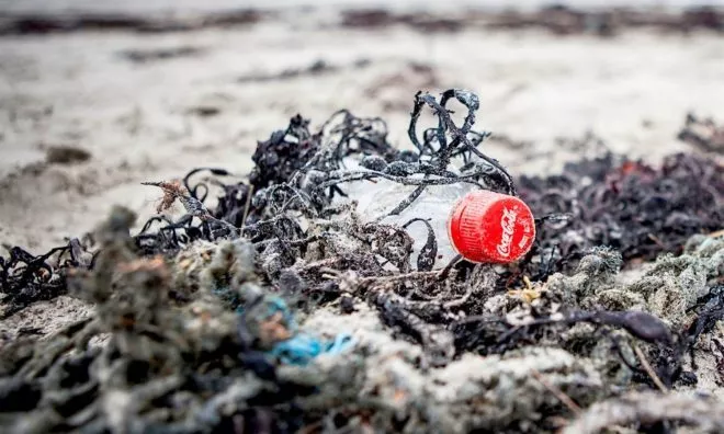 OTD in 2020: Coca-Cola was named the world's largest plastic polluter by the charity "Break Free From Plastic."