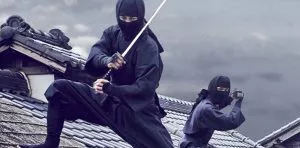 December 5: International Ninja Day