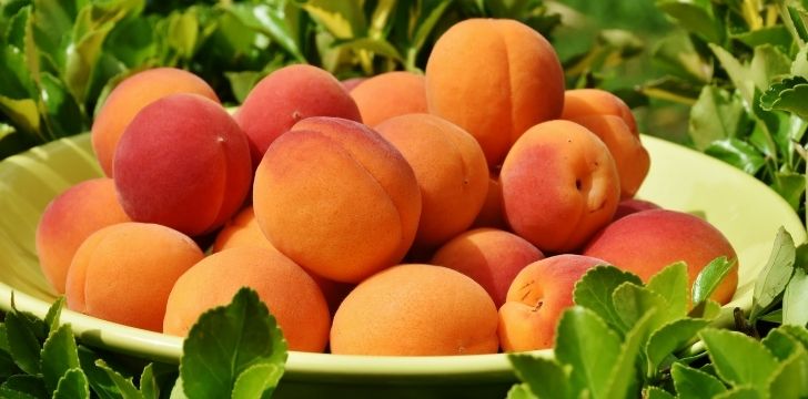 January 9: National Apricot Day