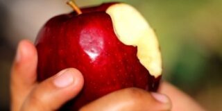 December 1: National Eat A Red Apple Day