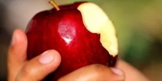 National Eat A Red Apple Day (December 1st)