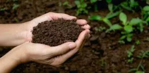 December 5: World Soil Day
