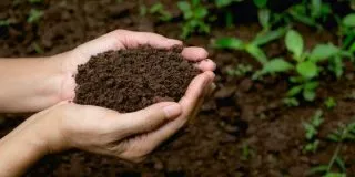 December 5: World Soil Day