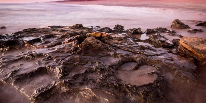 OTD in 2017: The world's largest dinosaur footprint was discovered.