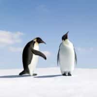 December 16: Day Of Reconciliation