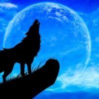 October 26: Howl At The Moon Day