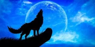 October 26: Howl At The Moon Day