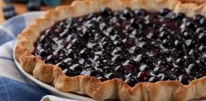 April 28: National Blueberry Pie Day