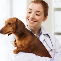 August 15: National Check The Chip Day