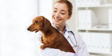 August 15: National Check The Chip Day