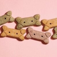 February 23: National Dog Biscuit Day
