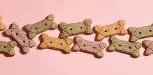 February 23: National Dog Biscuit Day