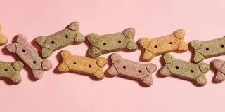 February 23: National Dog Biscuit Day