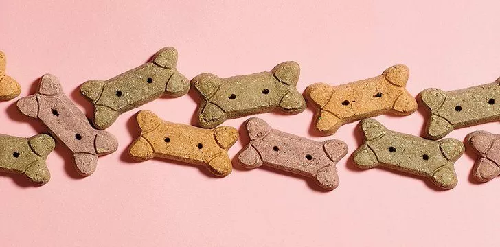 February 23: National Dog Biscuit Day