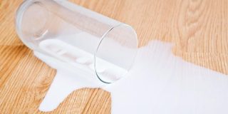 February 11: National Don't Cry Over Spilled Milk Day