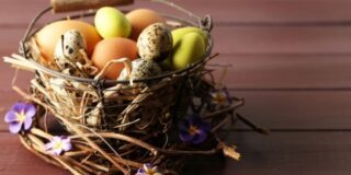 July 9: National Don't Put All Your Eggs in One Omelet Day
