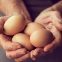 June 3: National Egg Day