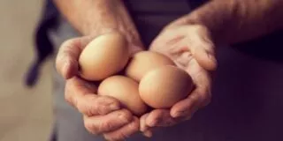 June 3: National Egg Day