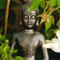 May 3: National Garden Meditation Day