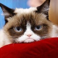 October 15: National Grouch Day