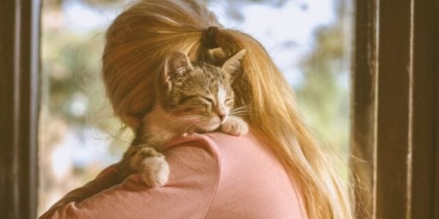 June 4: National Hug Your Cat Day