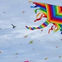 February 8: National Kite Flying Day