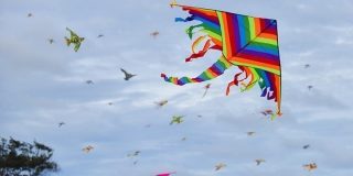 February 8: National Kite Flying Day