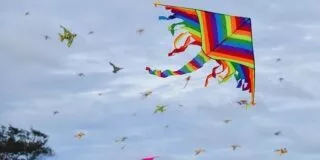 February 8: National Kite Flying Day