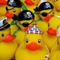 February 6: National Lame Duck Day