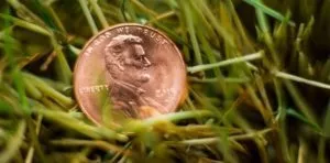 February 12: National Lost Penny Day