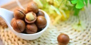 September 4: National Macadamia Nut Day