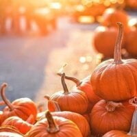 October 26: National Pumpkin Day